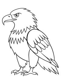 Kel kartal