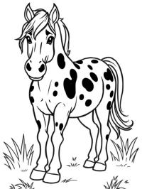 Appaloosa atı