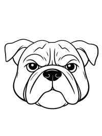 Bulldog kafası