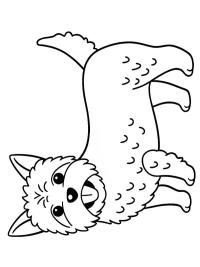 Cairn Terrier