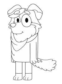 Calypso (Bluey)