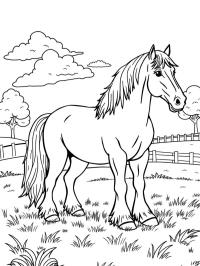 Clydesdale atı