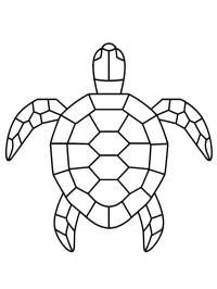 Geometrik kaplumbağa