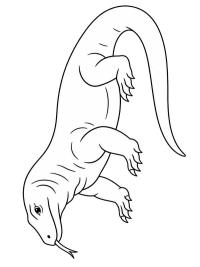Komodo ejderi