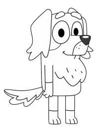 Bayan Retriever