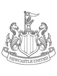 Newcastle United Futbol Kulübü