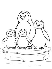 Penguen Ailesi