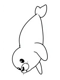 Sevimli fok balığı