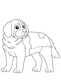 Saint Bernard k&ouml;peği