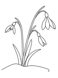 Kardelen