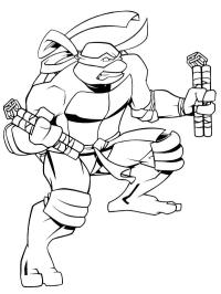 Michelangelo