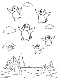 Uçan penguenler
