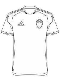 İsveç futbol forması