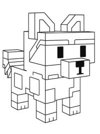 Rakun (Grow a garden)