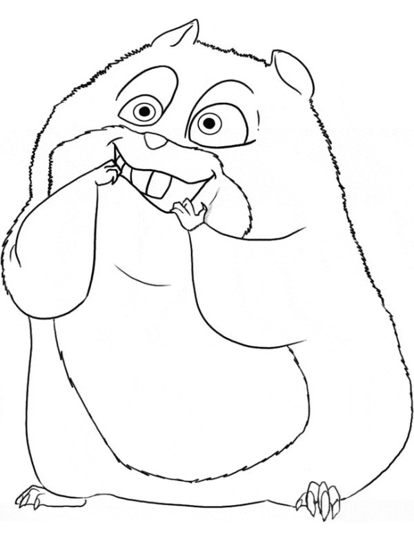 hamster Boyama sayfası hamster Boyama sayfası