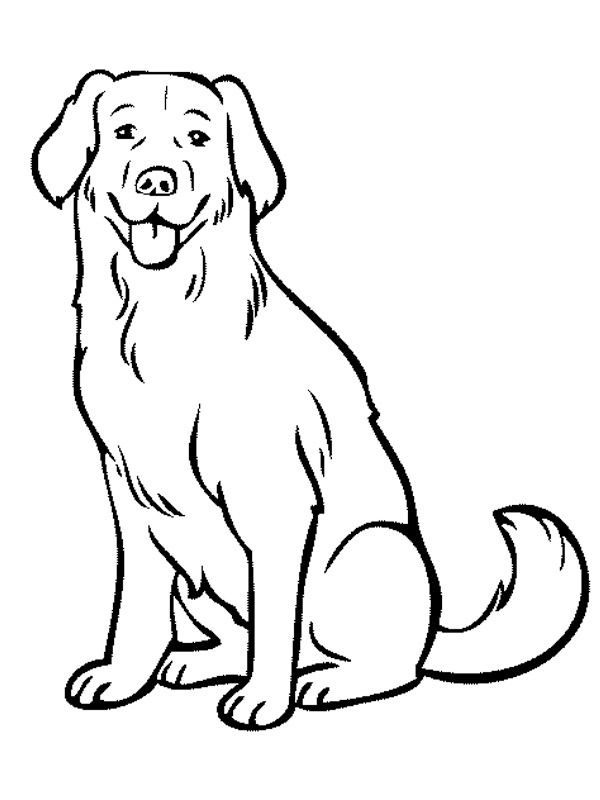 Labrador Köpek Boyama sayfası Labrador Köpek Boyama sayfası
