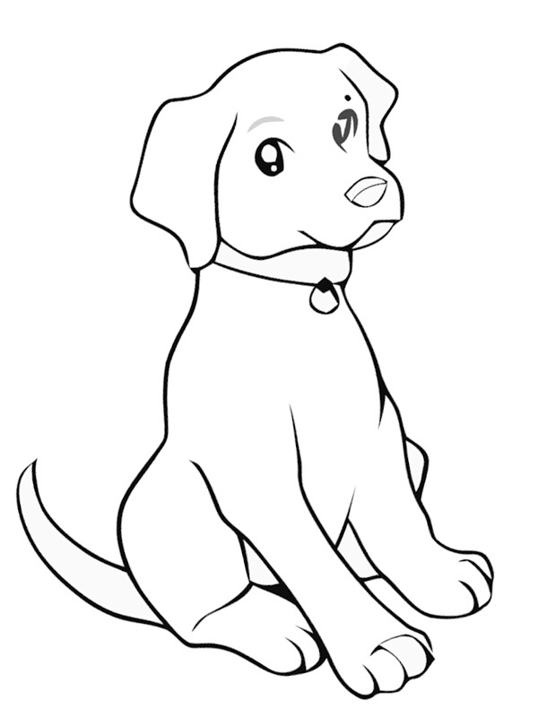 Labrador yavrusu Boyama sayfası Labrador yavrusu Boyama sayfası