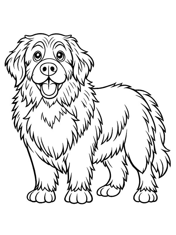 Newfoundland köpeği Boyama sayfası Newfoundland köpeği Boyama sayfası